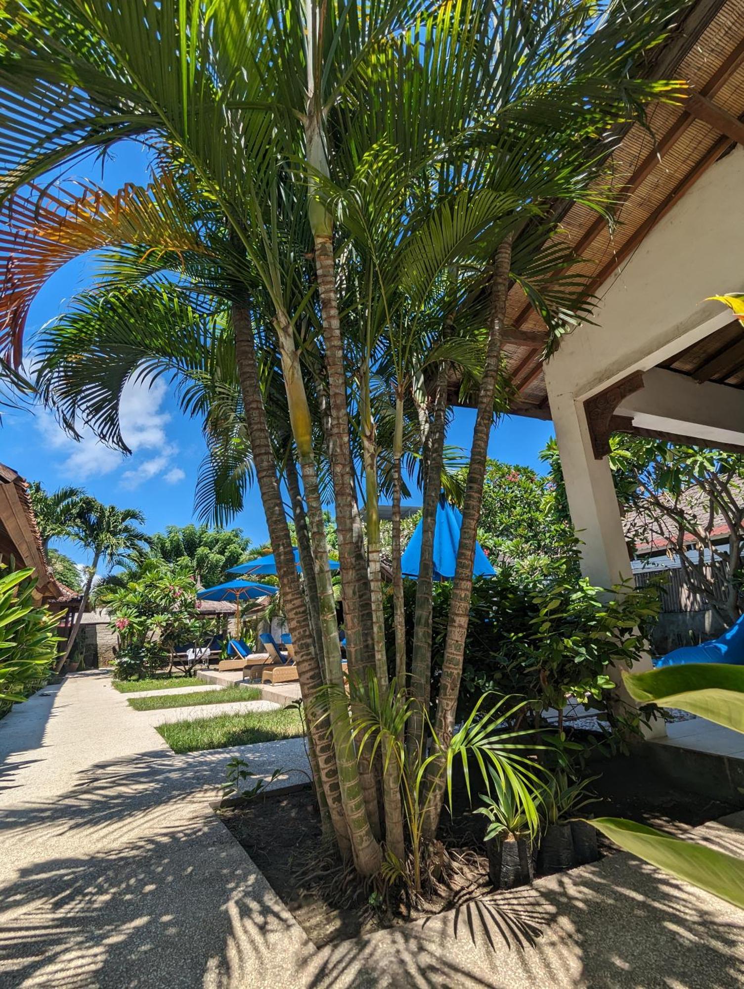 Indigo Bungalows Джили Трауанган Екстериор снимка
