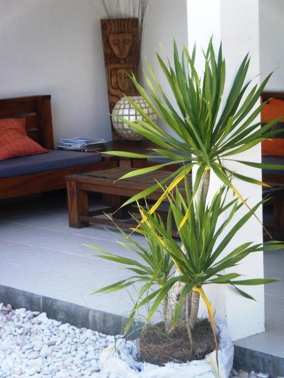 Indigo Bungalows Джили Трауанган Екстериор снимка